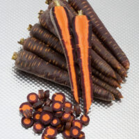 Purple Haze F1 25 000 szem 1,6-1,8 mm