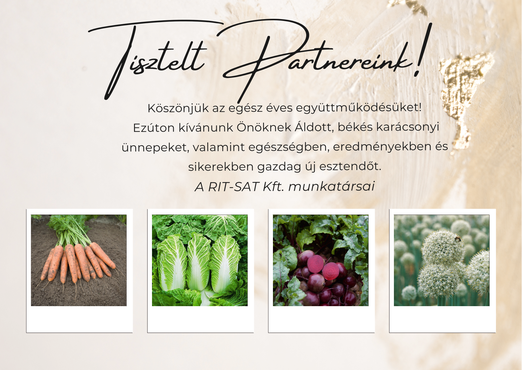 Ünnepi nyitvatartás